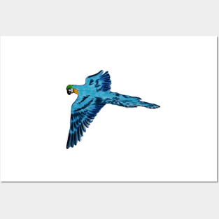 Flying Blue Parrot Posters and Art